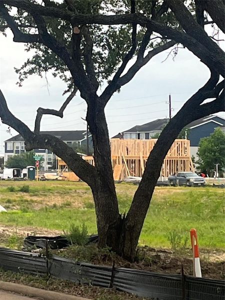 In-progress construction of a new home in , Houston, TX (Image 5).