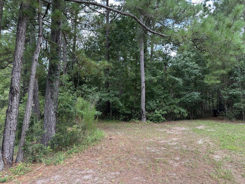 Natural landscape and outdoor views near  in Awendaw (Image 57).