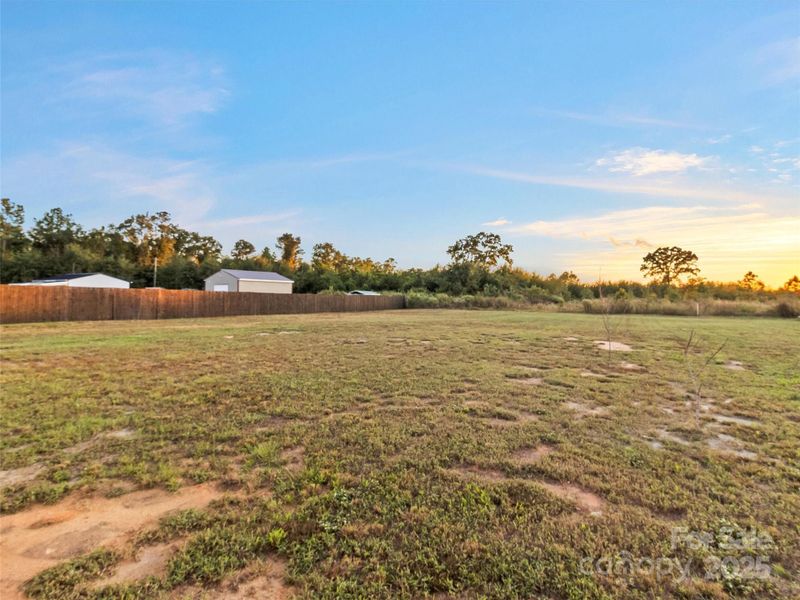 Expansive Backyard with Multiple Young Trees that will grow to provide ample shade and interest to the large yard.