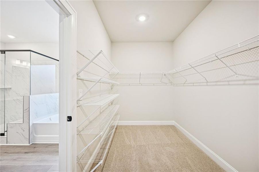 Spacious, unfurnished interior of a new home in River Pointe, Monroe (Image 41).