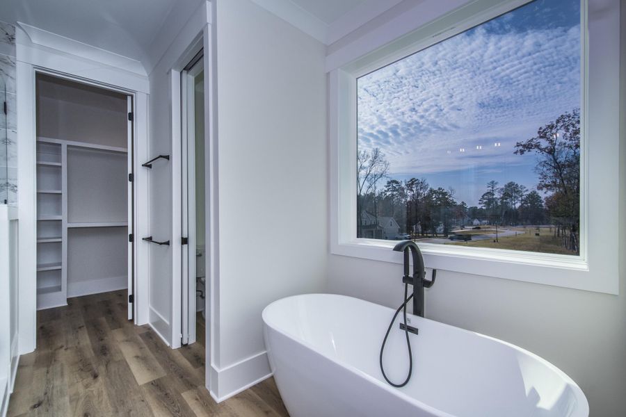 Furnished interior view inside a new home in , Chapin (Image 38).