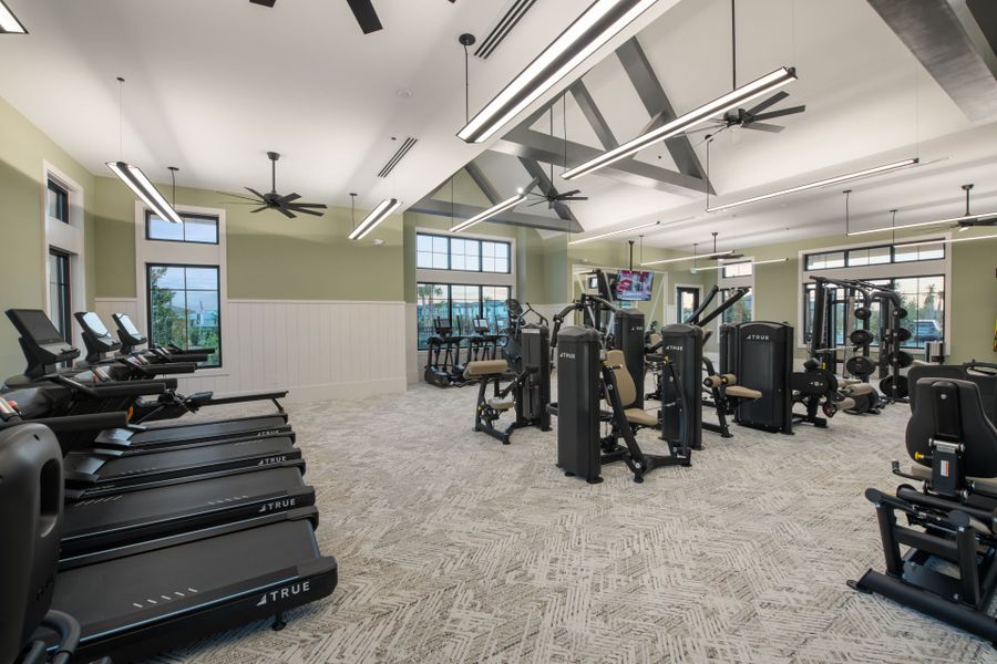 Community amenities in Vida's Way, Wesley Chapel (Image 12).