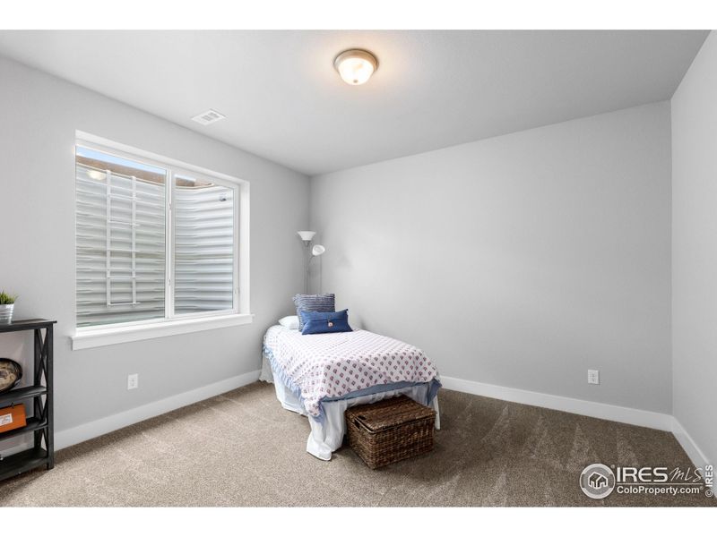 Basement Bedroom