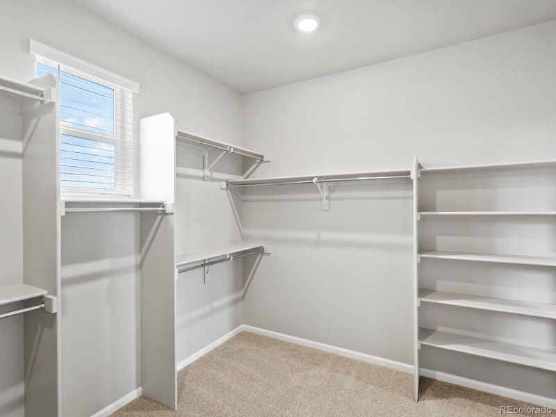 Spacious, unfurnished interior of a new home in Poudre Heights: The Alpine Collection, Windsor (Image 19).