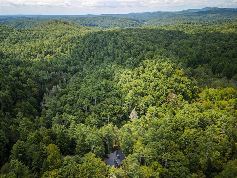 Natural landscape and outdoor views near  in Cherry Log (Image 54).