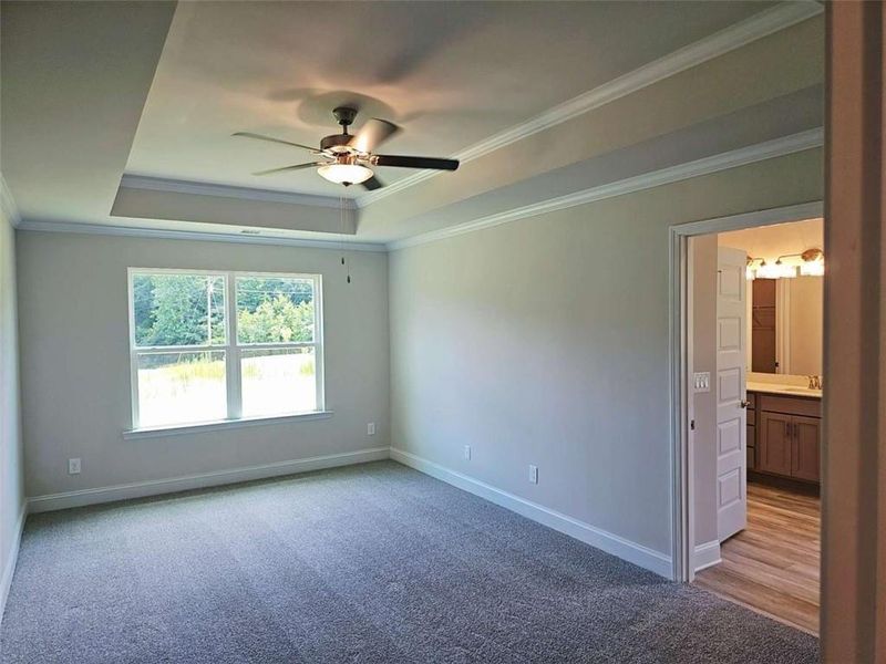 Spacious, unfurnished interior of a new home in Park Place, Bowdon (Image 8). Spacious, unfurnished interior of a new home in Park Place, Bowdon (Image 8).