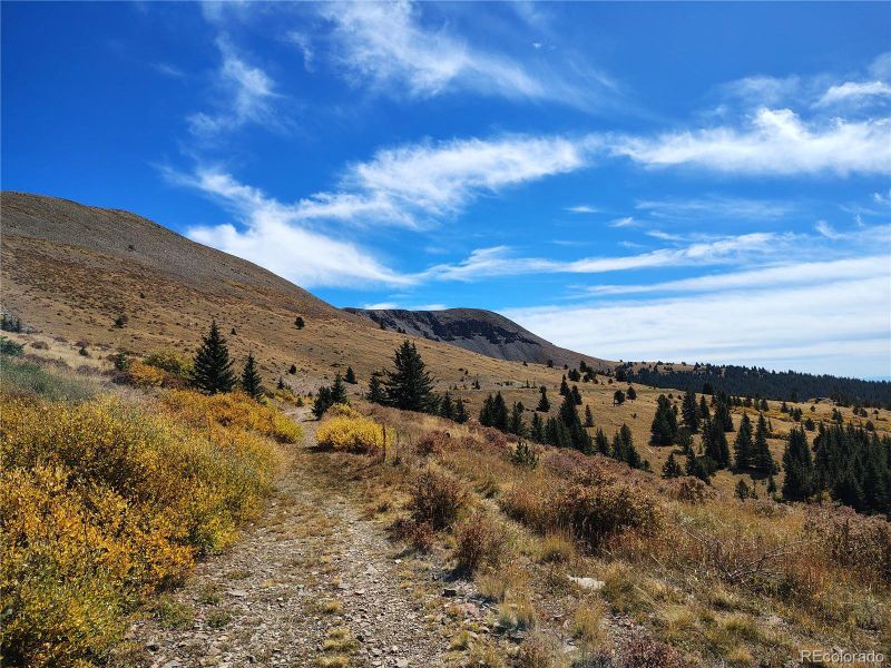 Natural landscape and outdoor views near  in Colorado City (Image 29).
