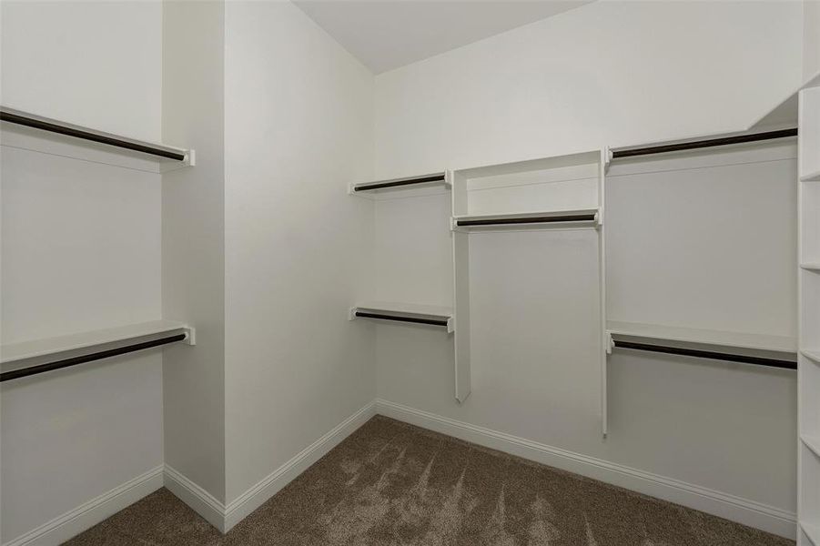 Walk in closet with dark colored carpet