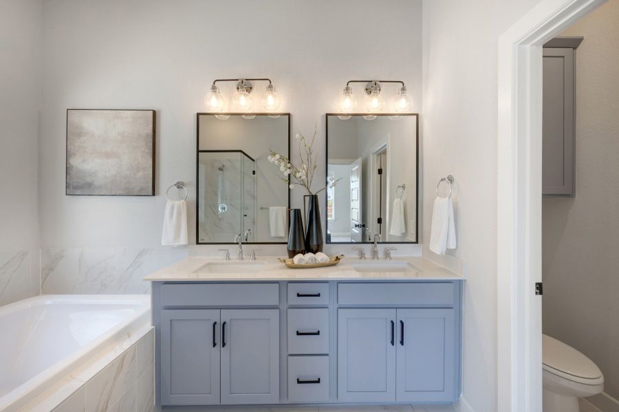 Owner's Bath