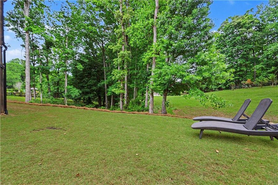 Natural landscape and outdoor views near  in Hoschton (Image 42).