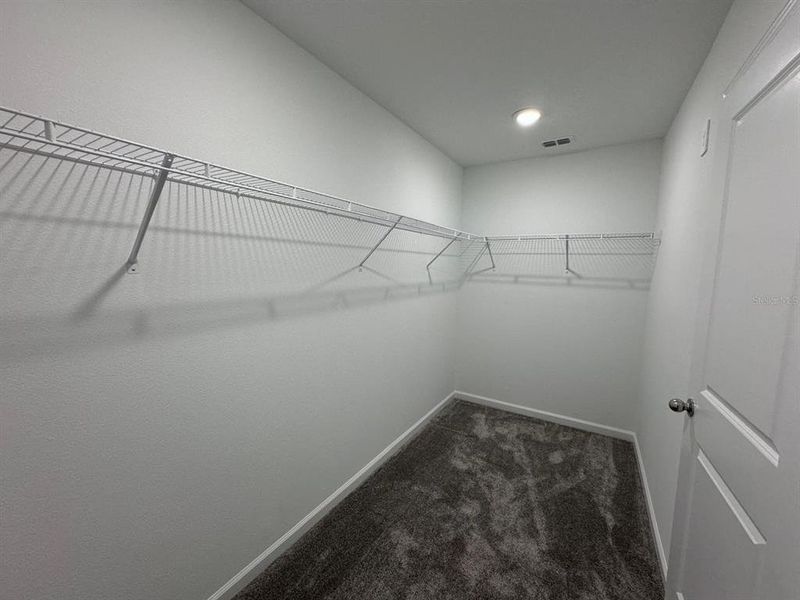 Spacious, unfurnished interior of a new home in Cascades, Davenport (Image 30).