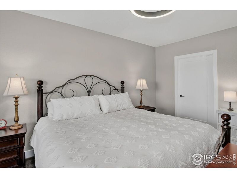 Basement Bedroom with walk in closet