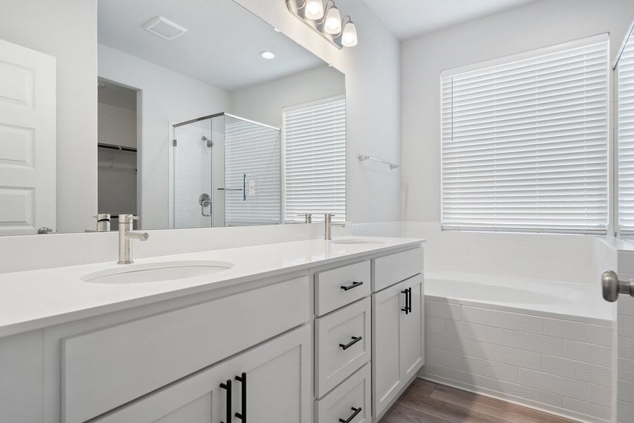 006_mm_03825 006_mm_03825