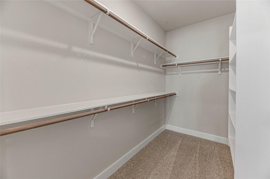 Walk in closet featuring light carpet