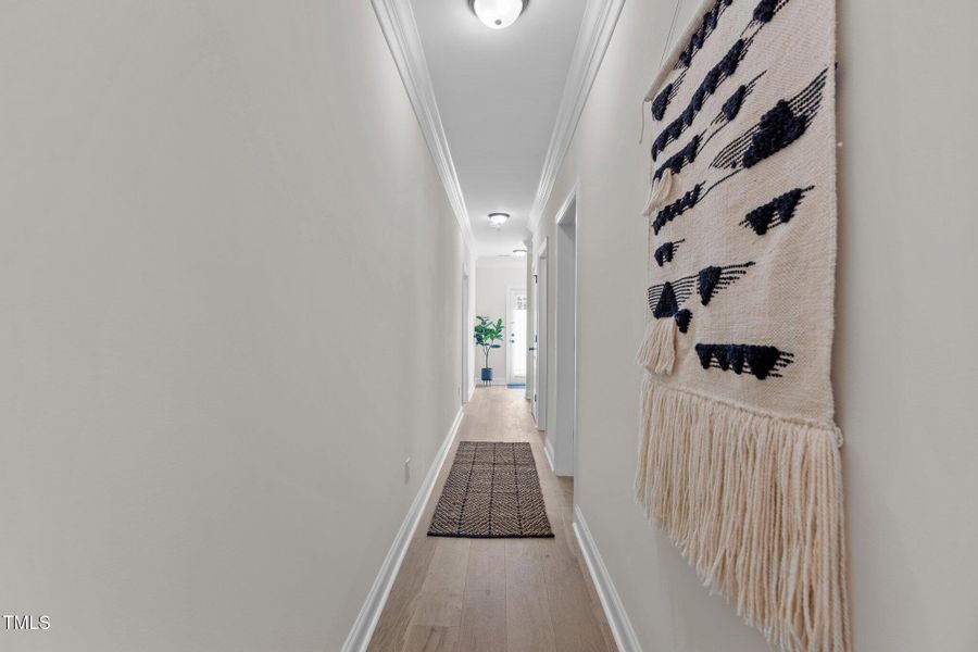 48-web-or-mls-2N6A5075