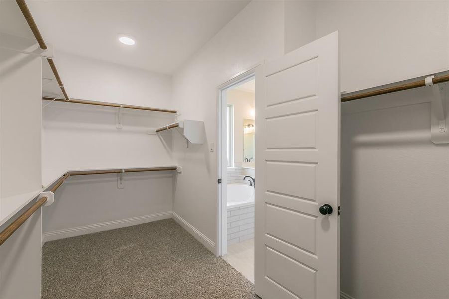 Spacious, unfurnished interior of a new home in , Alvarado (Image 32).