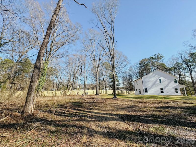 Natural landscape and outdoor views near  in Huntersville (Image 37).