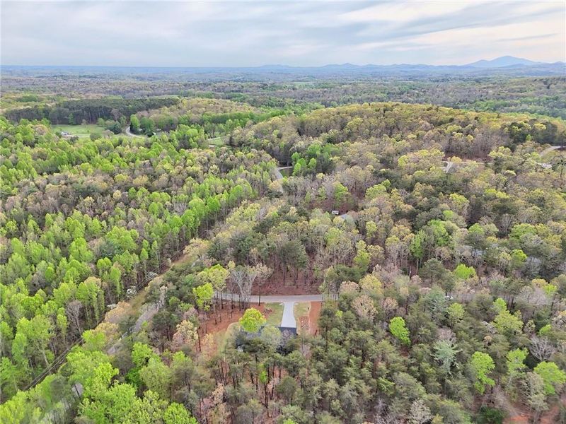 Natural landscape and outdoor views near  in Clarkesville (Image 72).