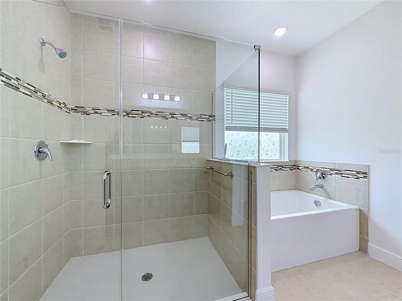 Furnished interior view inside a new home in Palm Bay, Palm Bay (Image 46).