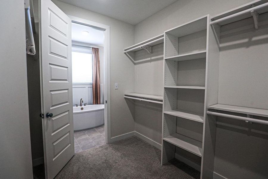 Walk in closet with light carpet