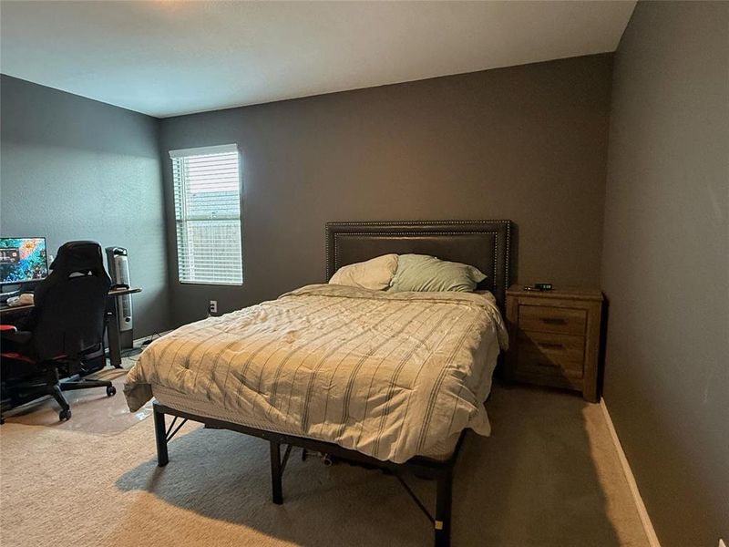 Room featuring carpet flooring and dark gray painted walls Room featuring carpet flooring and dark gray painted walls