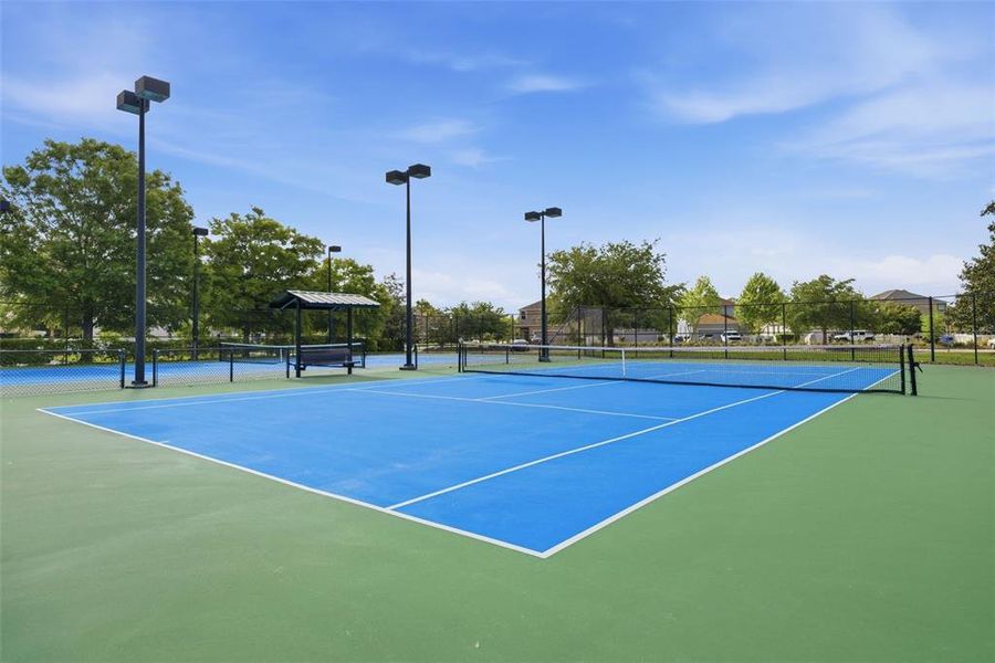 Community amenities in , Land O' Lakes (Image 58).