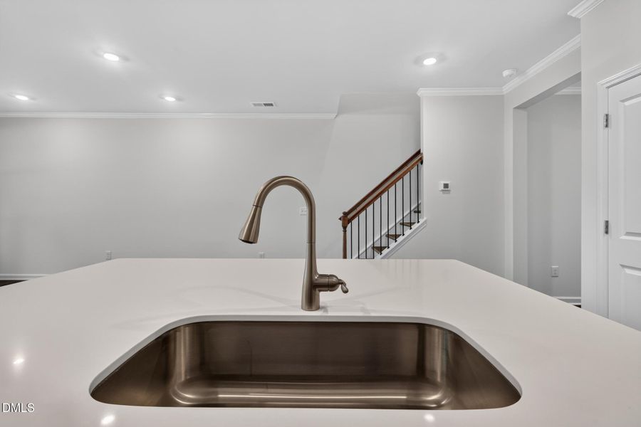 22_132_Tree_Moss_Ct-Kitchen-_153