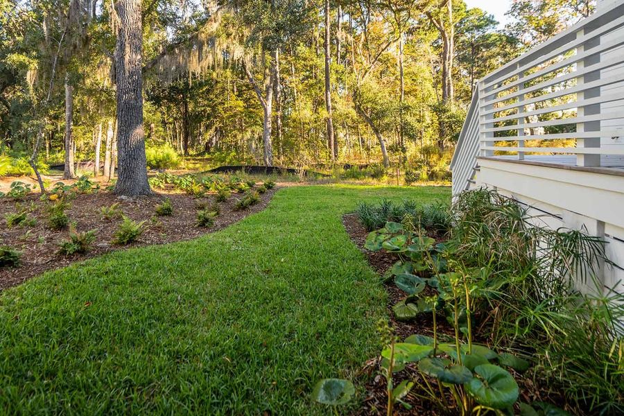 Natural landscape and outdoor views near  in Johns Island (Image 45).