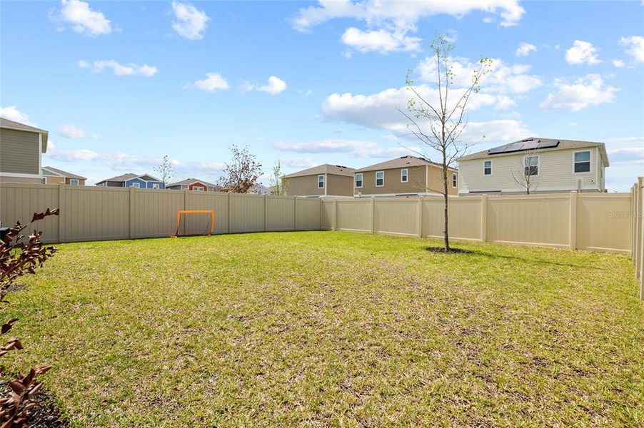 Exterior details and patio area of a home in Hawkstone, Lithia (Image 23).