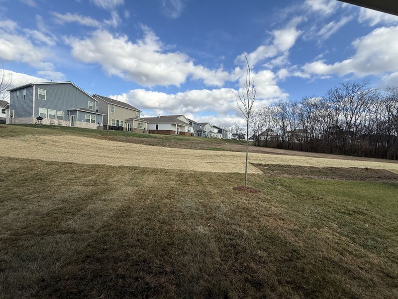 Image 7 of a home in Nexus – Park Collection.
