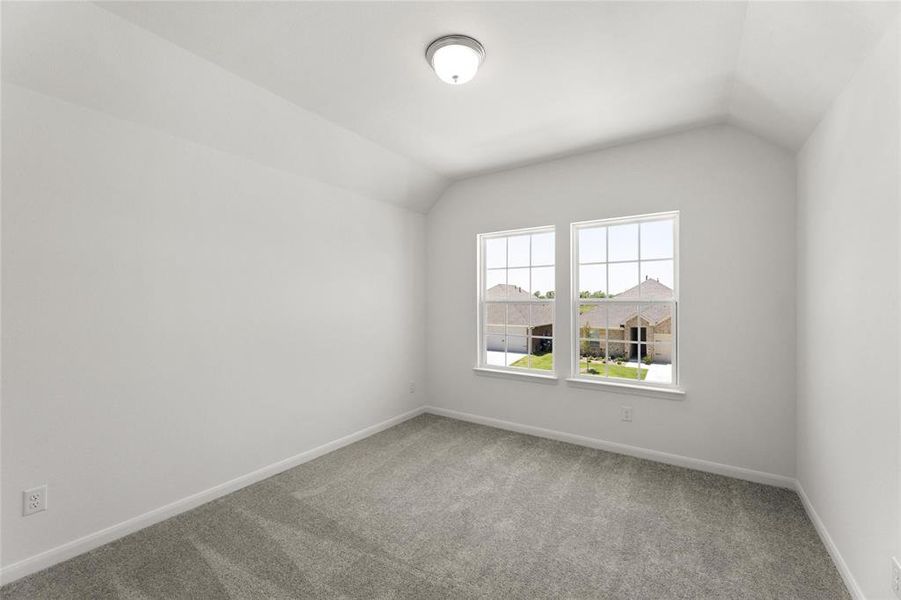 20_Grapevine_Representative Photo 20_Grapevine_Representative Photo