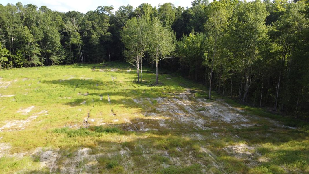 Natural landscape and outdoor views near  in Cross (Image 23).