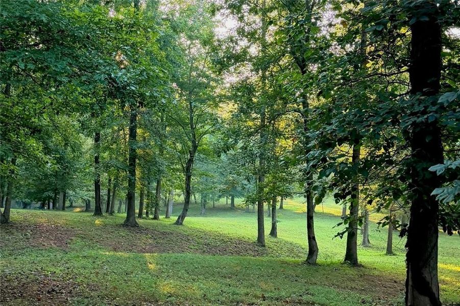 Natural landscape and outdoor views near in Ball Ground (Image 29). Natural landscape and outdoor views near in Ball Ground (Image 29).
