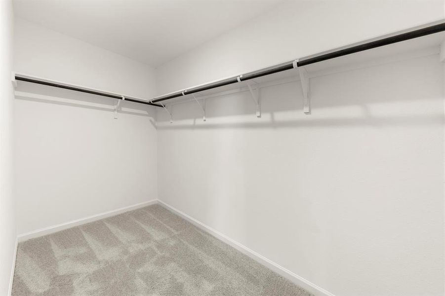 24. 1282 Herring - Closet 24. 1282 Herring - Closet