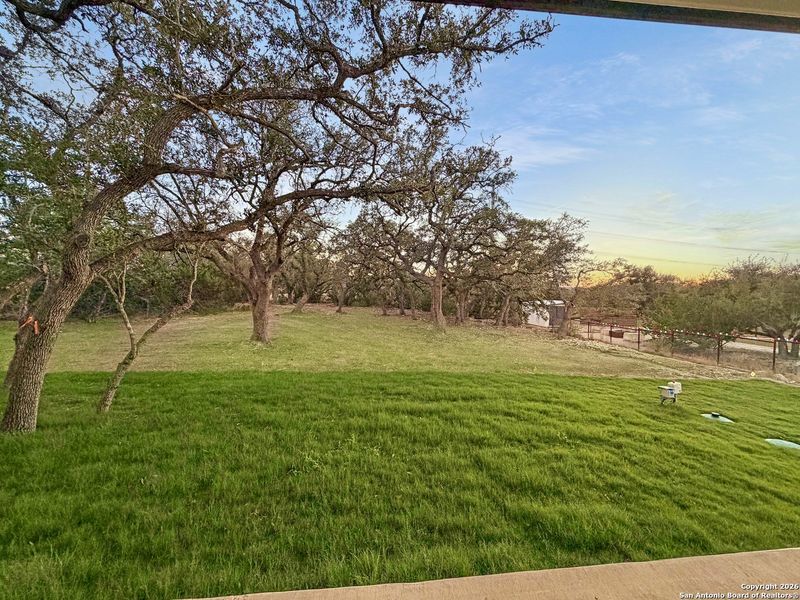 Natural landscape and outdoor views near  in Bulverde (Image 44).