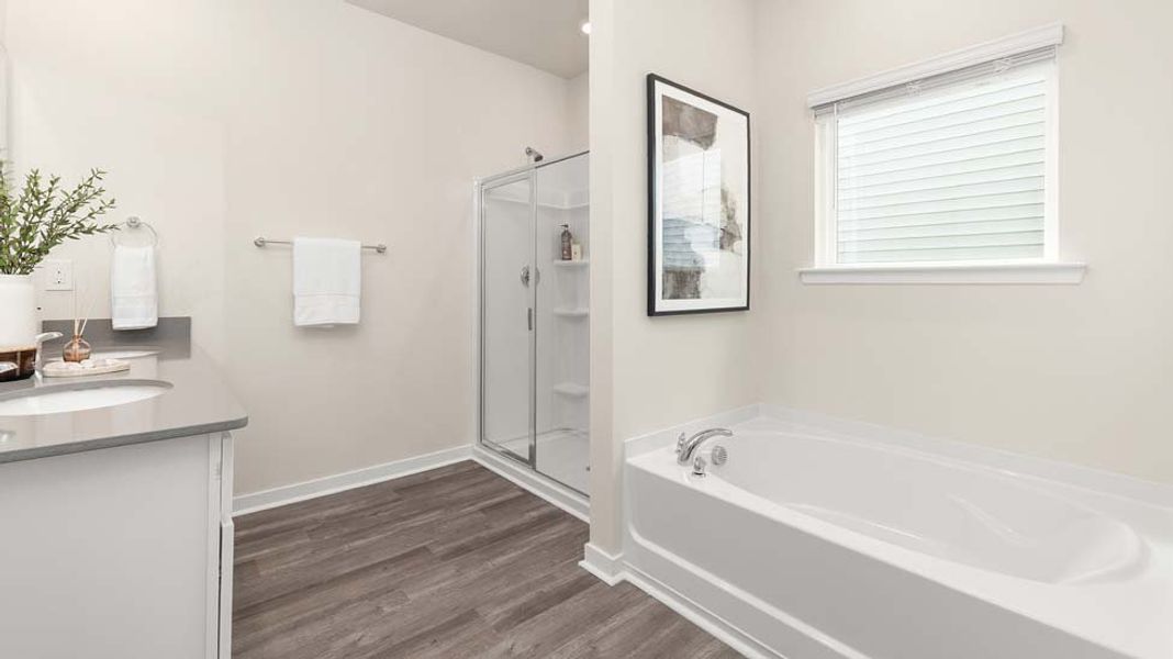 Representative furnished interior of a home built from the Plan by D.R. Horton in Valley View, Waynesville (Image 15). Representative furnished interior of a home built from the Plan by D.R. Horton in Valley View, Waynesville (Image 15).