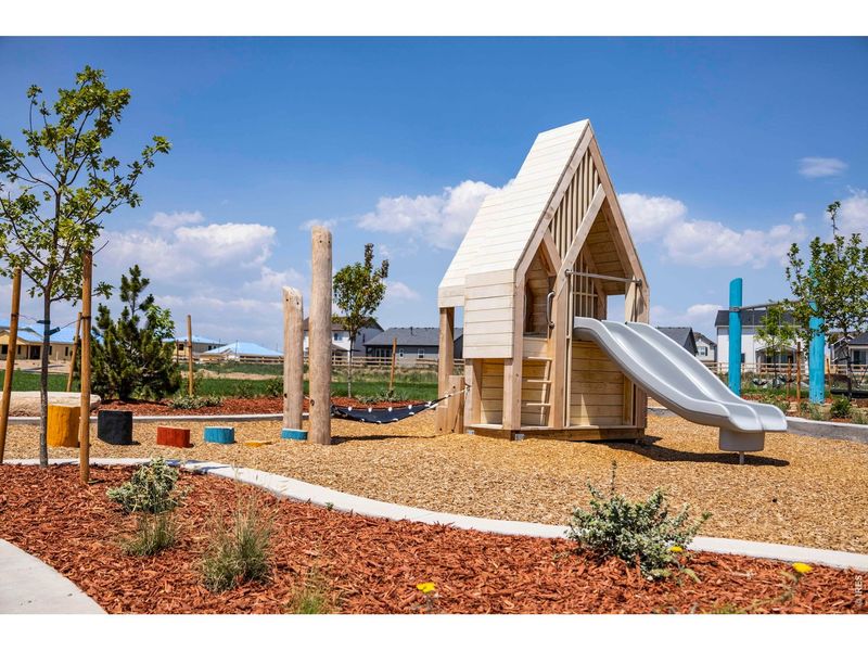 Community amenities in Prairie Song Story Collection - Single Family Homes, Windsor (Image 40).
