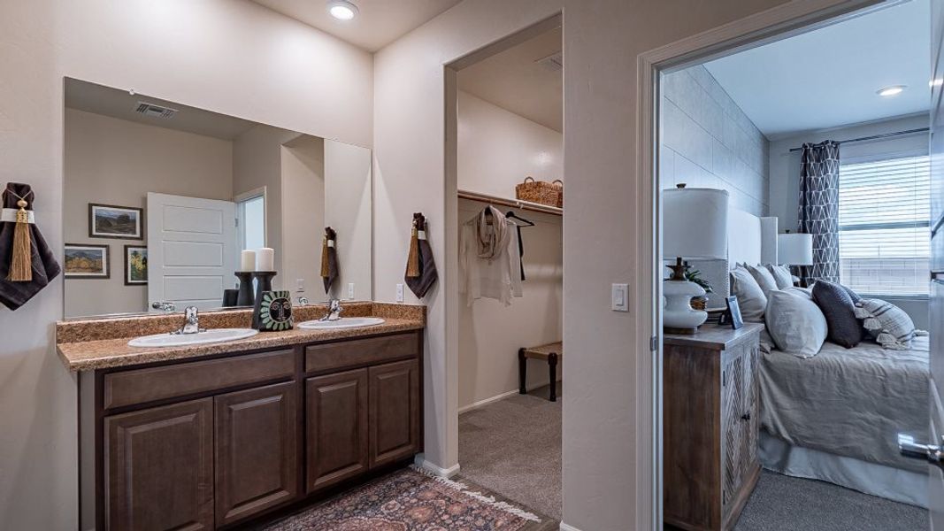 Odyssey Owner's Suite Odyssey Owner's Suite