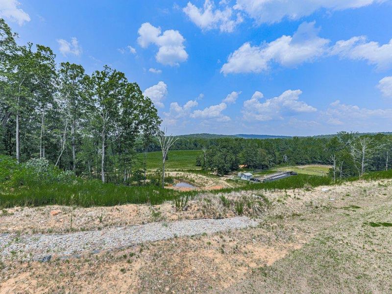 Natural landscape and outdoor views near Kingston Park in Euharlee (Image 26).