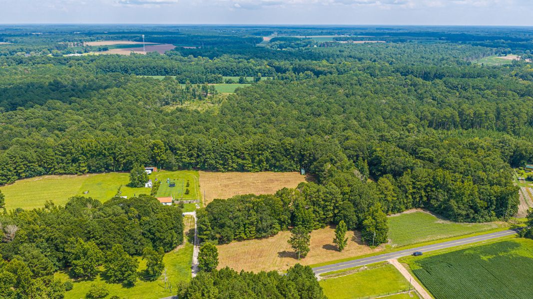 Natural landscape and outdoor views near  in Holly Hill (Image 66).