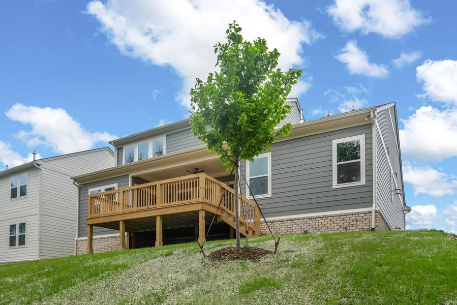 The Dahlia C Exterior Rear The Dahlia C Exterior Rear