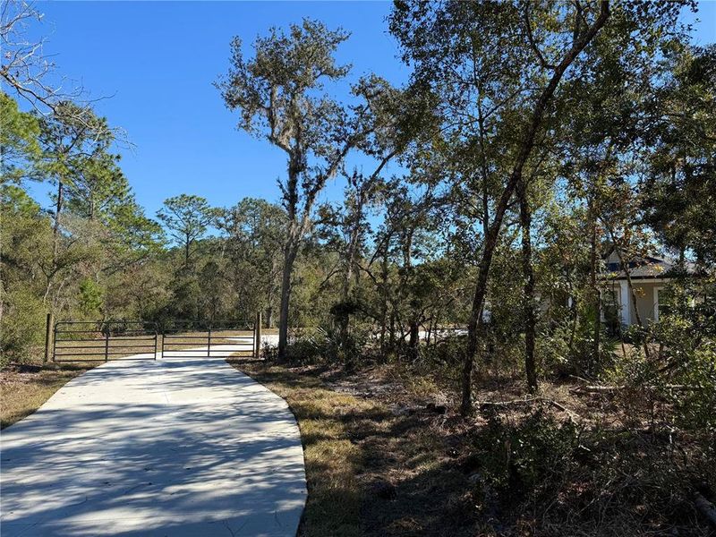 Natural landscape and outdoor views near  in Eustis (Image 43).