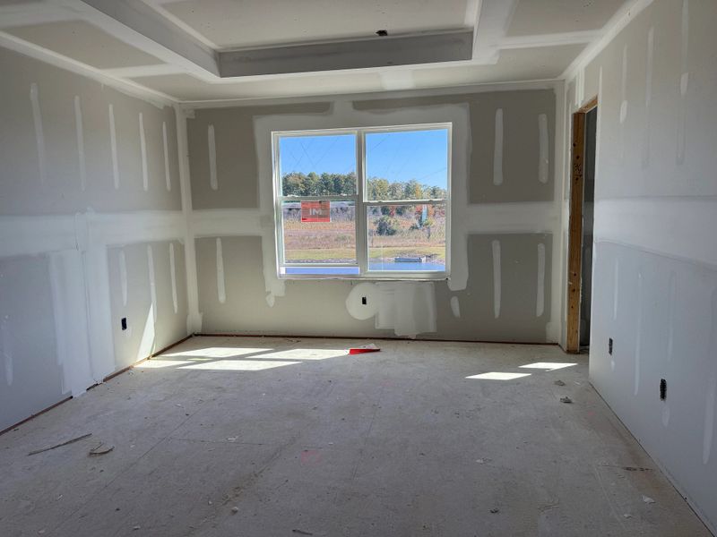 Expansive primary suite featuring a tray ceiling and sun-filled windows