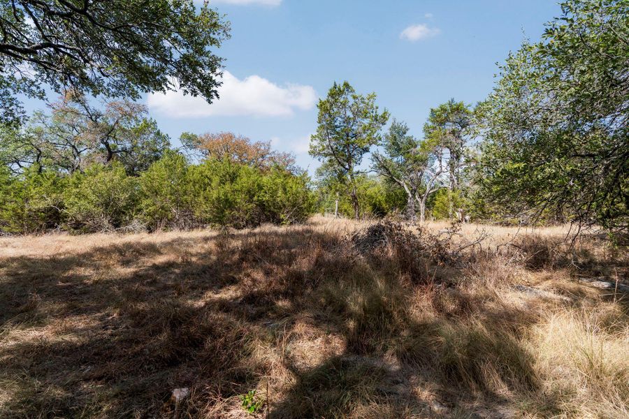 Natural landscape and outdoor views near  in Wimberley (Image 23).