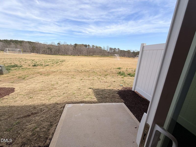 BMR195 Backyard