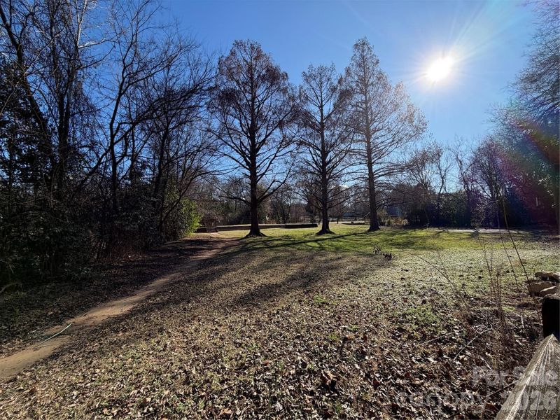 Natural landscape and outdoor views near  in Charlotte (Image 3).