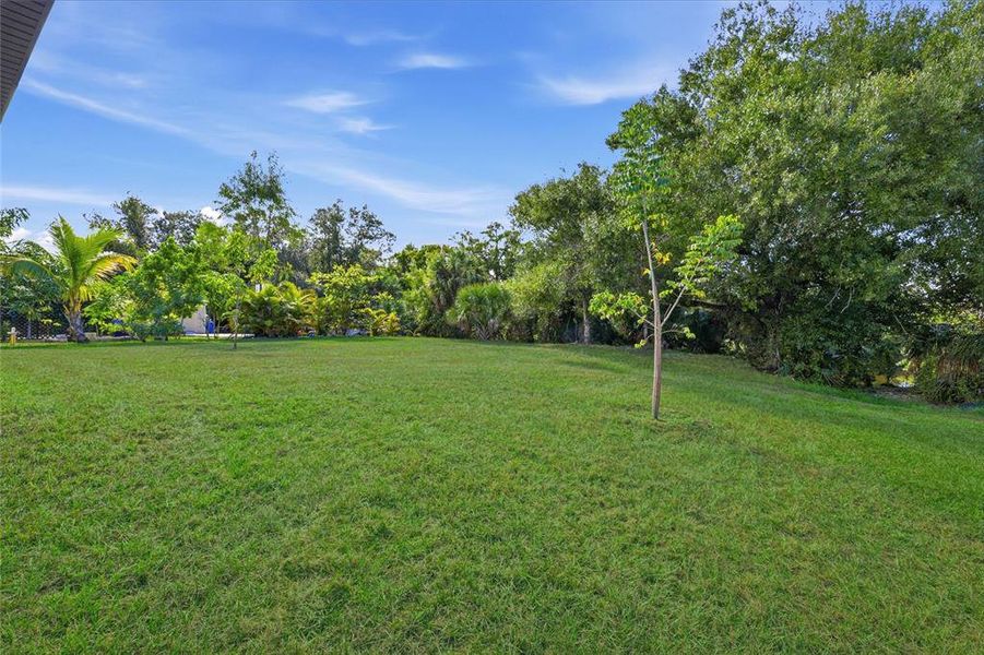 Natural landscape and outdoor views near  in Port Charlotte (Image 29).