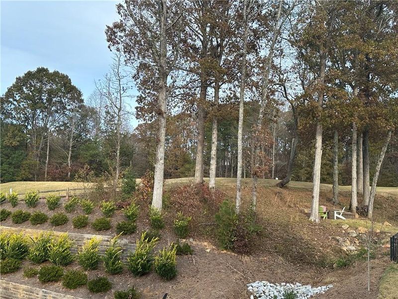 Natural landscape and outdoor views near Reunion in Hoschton (Image 45).