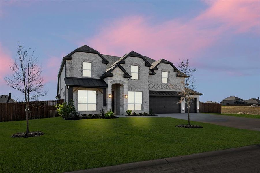 109 Golden Jackal- twilight-2 109 Golden Jackal- twilight-2