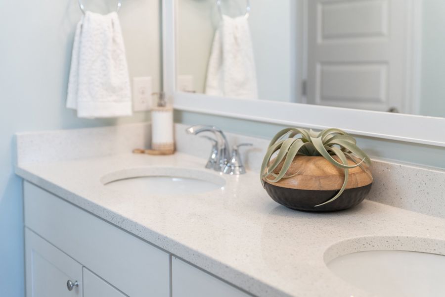 Dual sinks in owner's bath